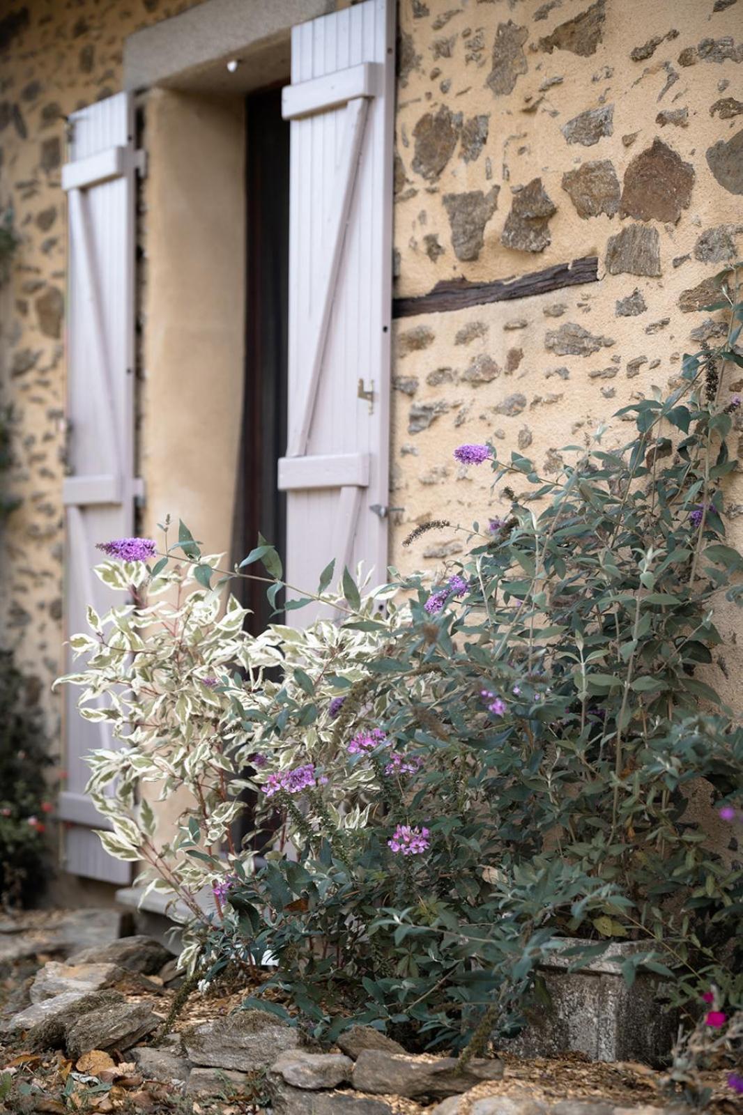 Hotel Domaine Abbey-Rose Champsac Exterior foto